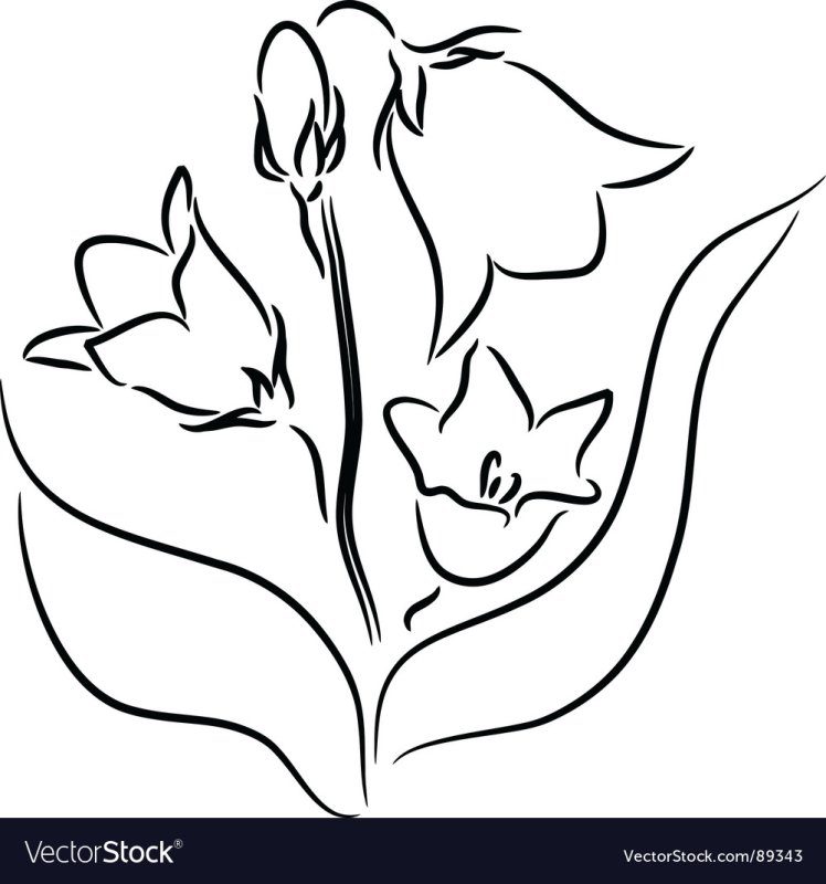 Колокольчик цветок раскраска для детей