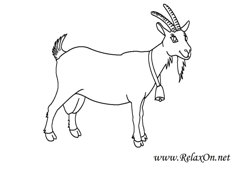Раскраска коза
