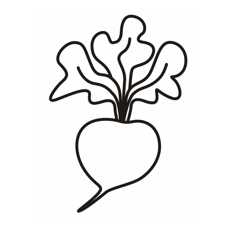 Редиска раскраска для детей