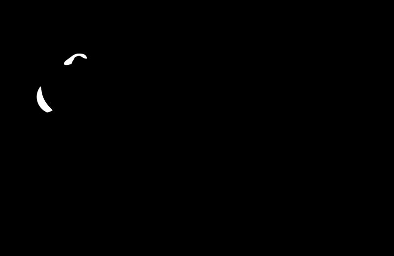 Силуэты зверей