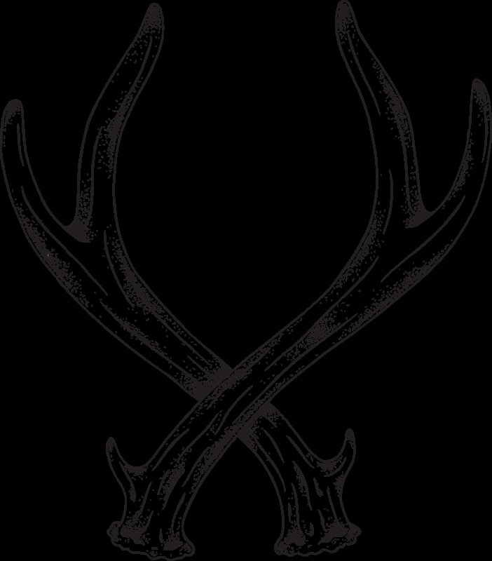 Рога оленя раскраска