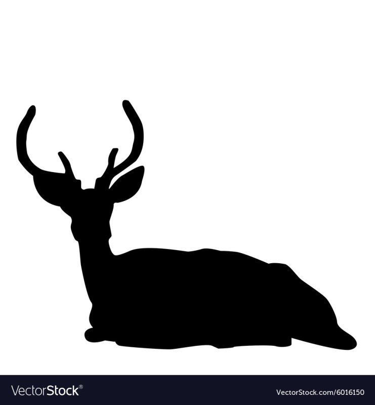 Лежащий олень силуэт