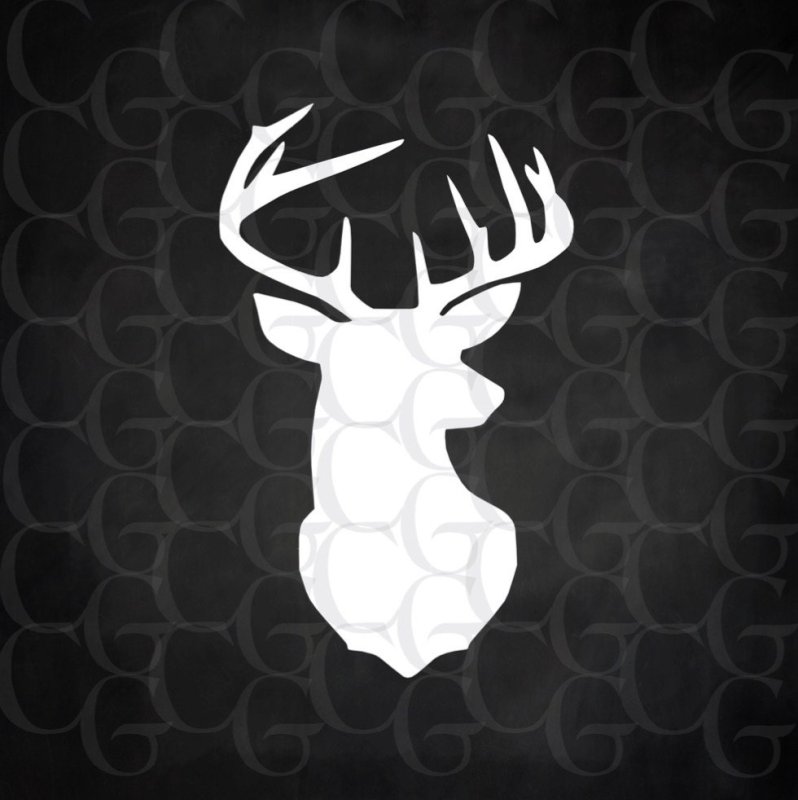 Голова оленя профиль