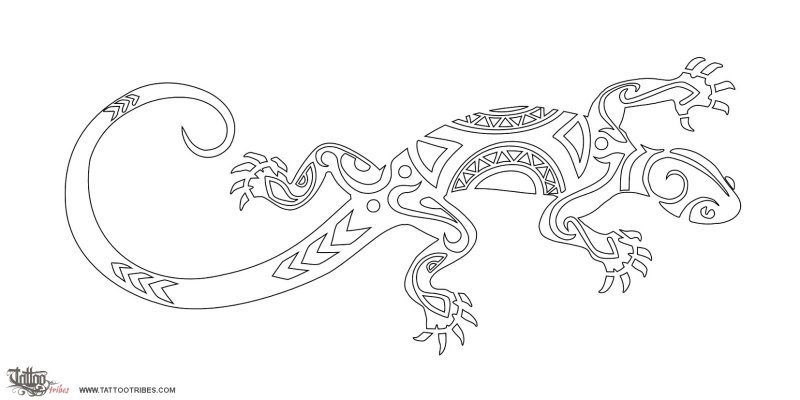 Ящерица раскраска