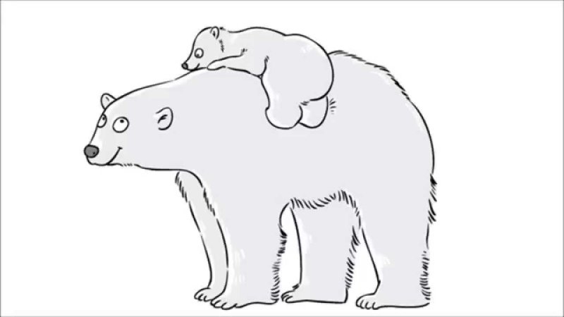 Белый медведь раскраска для детей