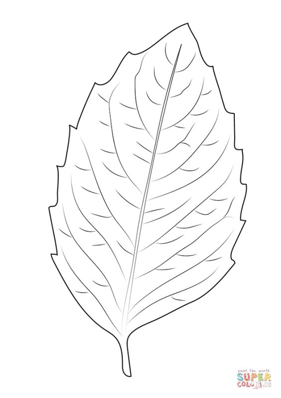 Трафарет листьев для вырезания