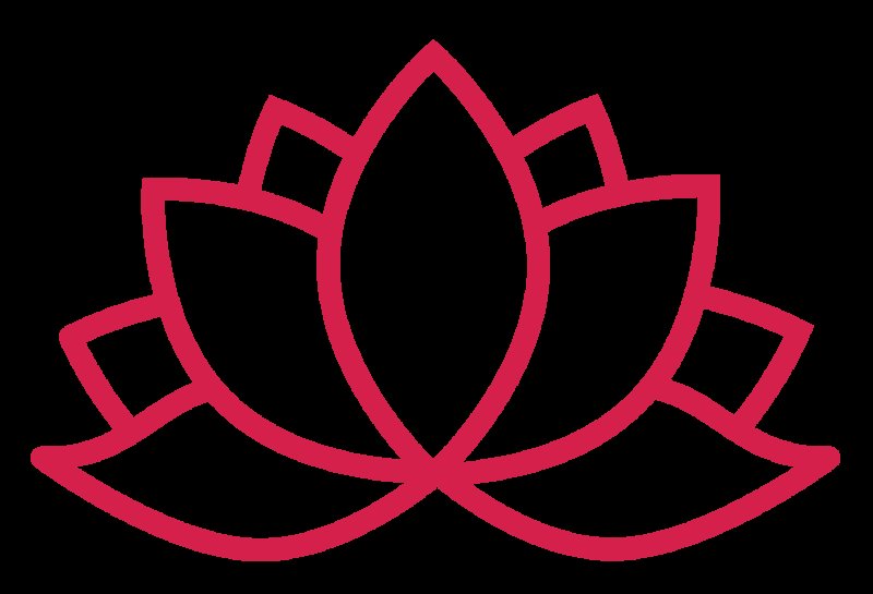 Лотос цветок