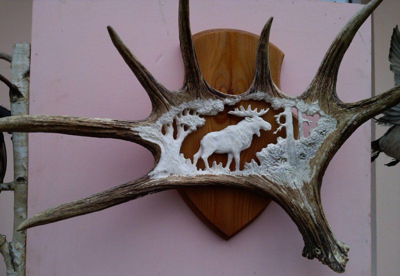 Резьба на лосиных рогах