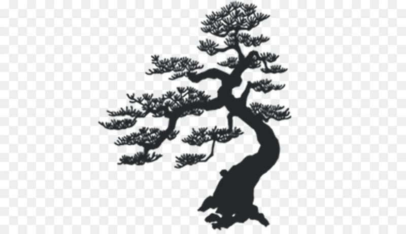 Дерево бонсай трафарет