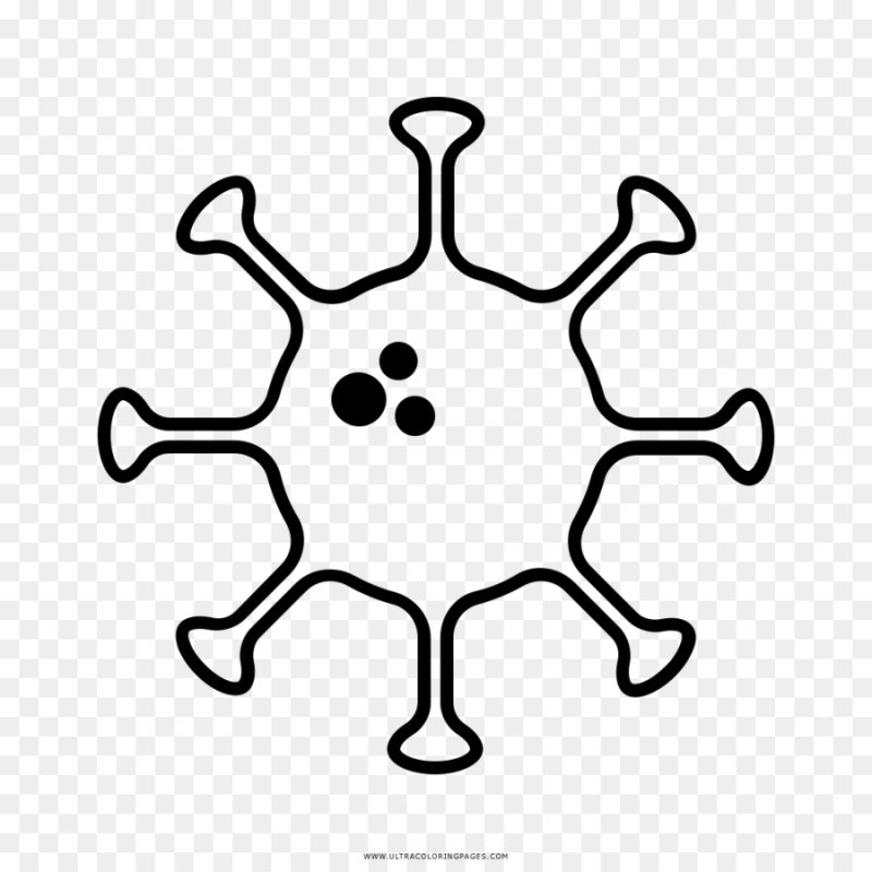 Бактерии раскраска для детей