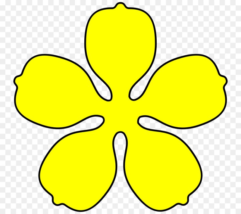 Шаблоны цветов для детей