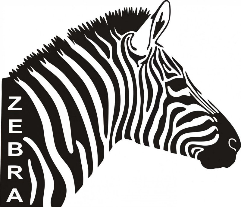 Зебра стилизация