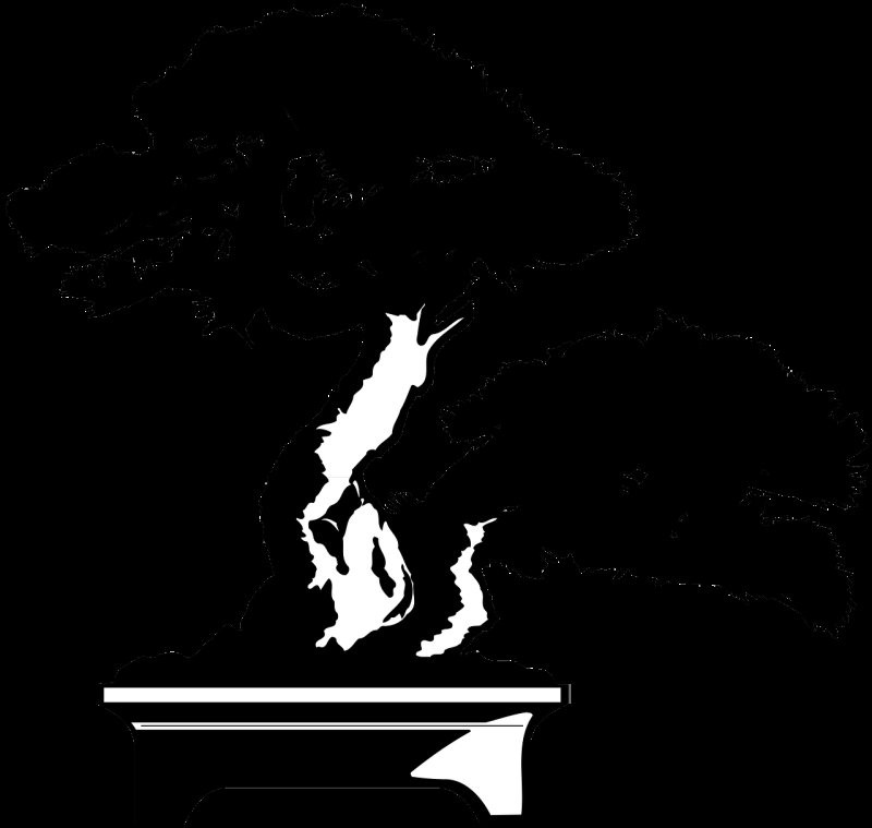 Бонсай силуэт