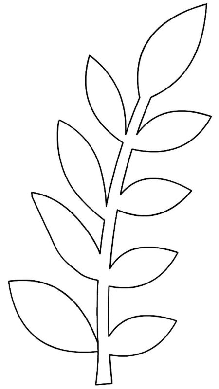 Трафареты листиков для цветов