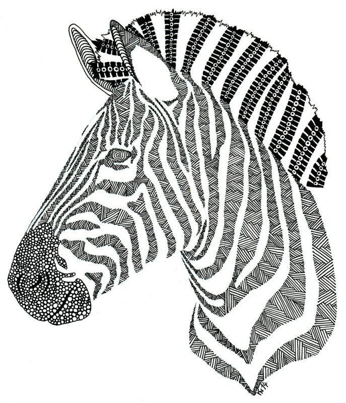 Зебра рисунок