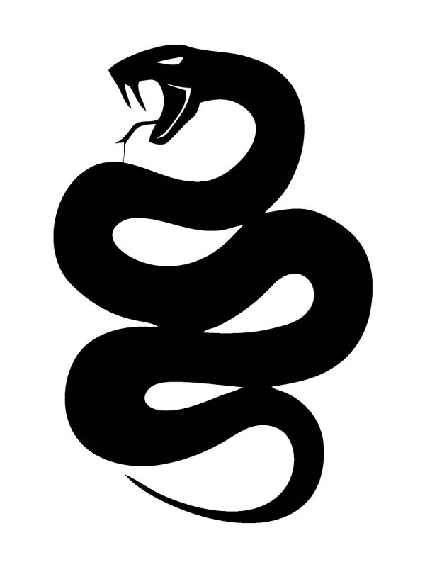 Черно белая змея