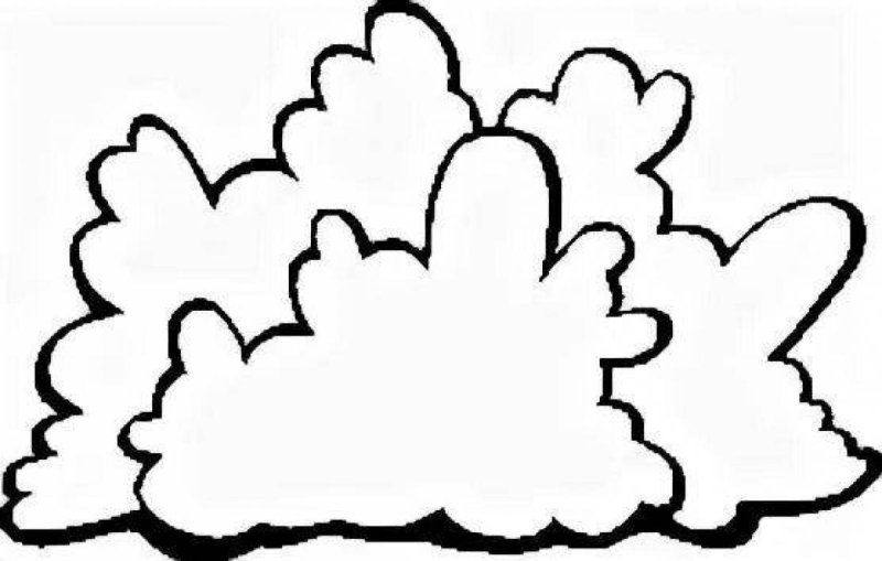 Кустик контур