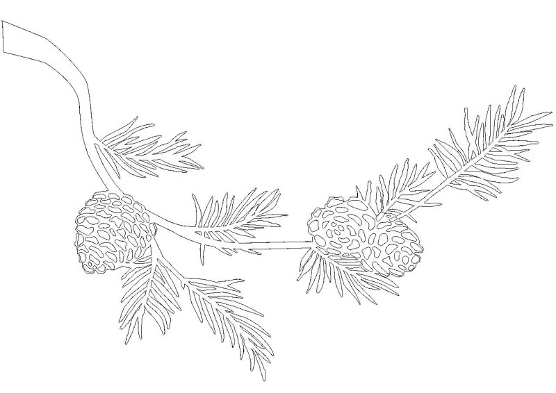 Еловая ветка трафарет на окно