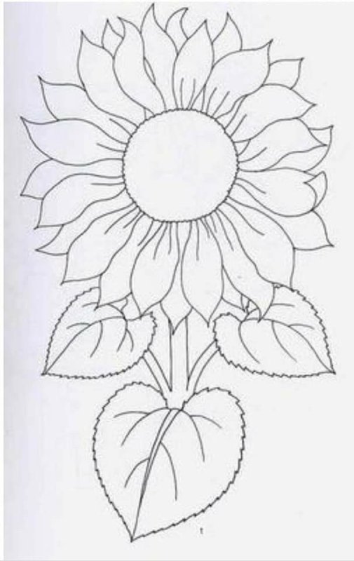 Цветы трафарет для рисования