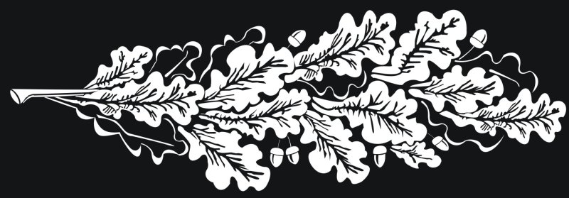 Ветка гравюра