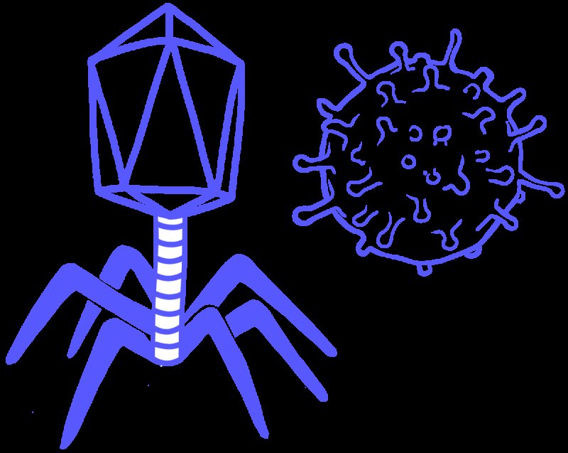 Вирус нарисовать
