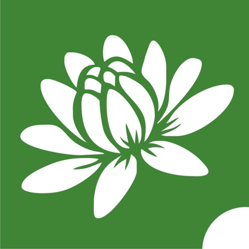 Лотос трафарет