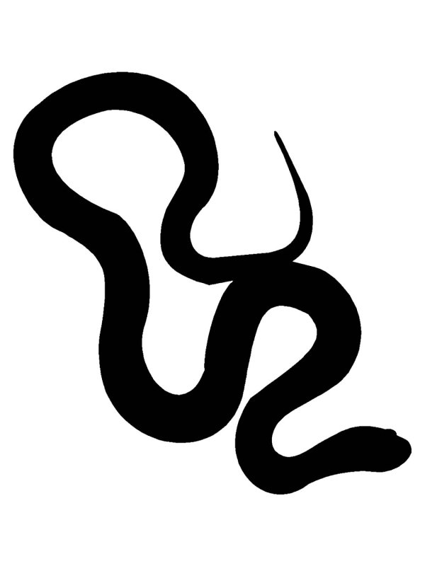 Змея очертания