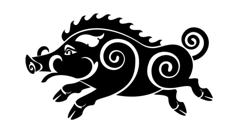 Силуэт кабана