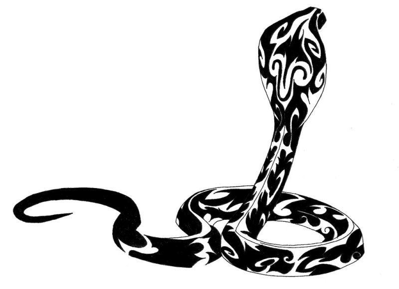 Кобра трайбл