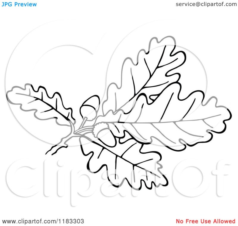 Лист дуба трафарет для вырезания