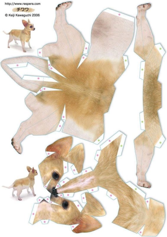 Паперкрафт чихуахуа схема