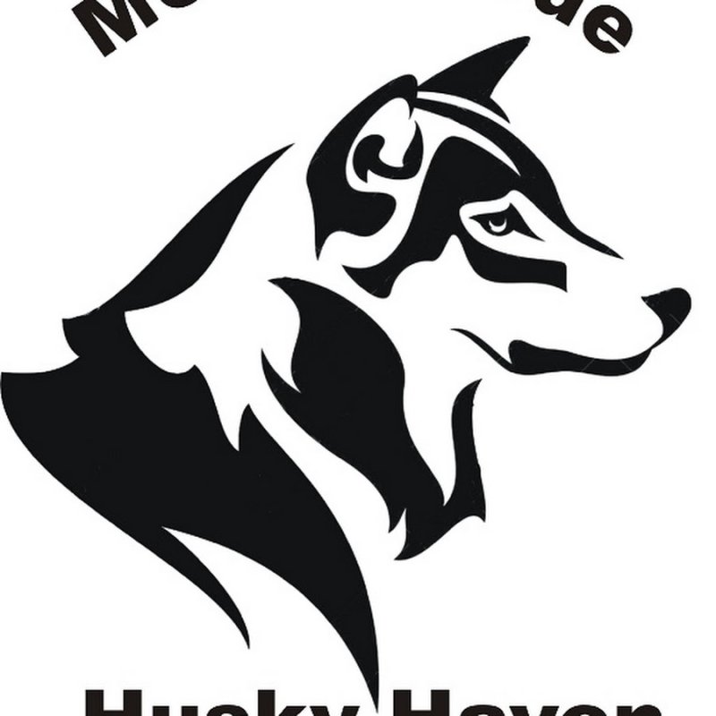 Стилизованное изображение волка