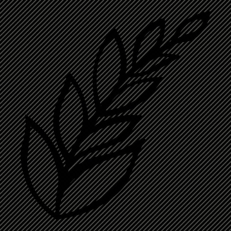 Трафареты веточки