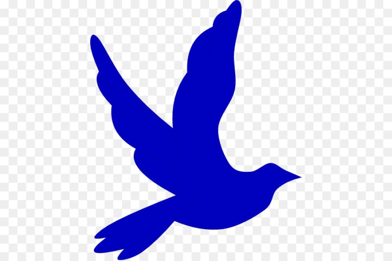 Силуэты птиц для детей