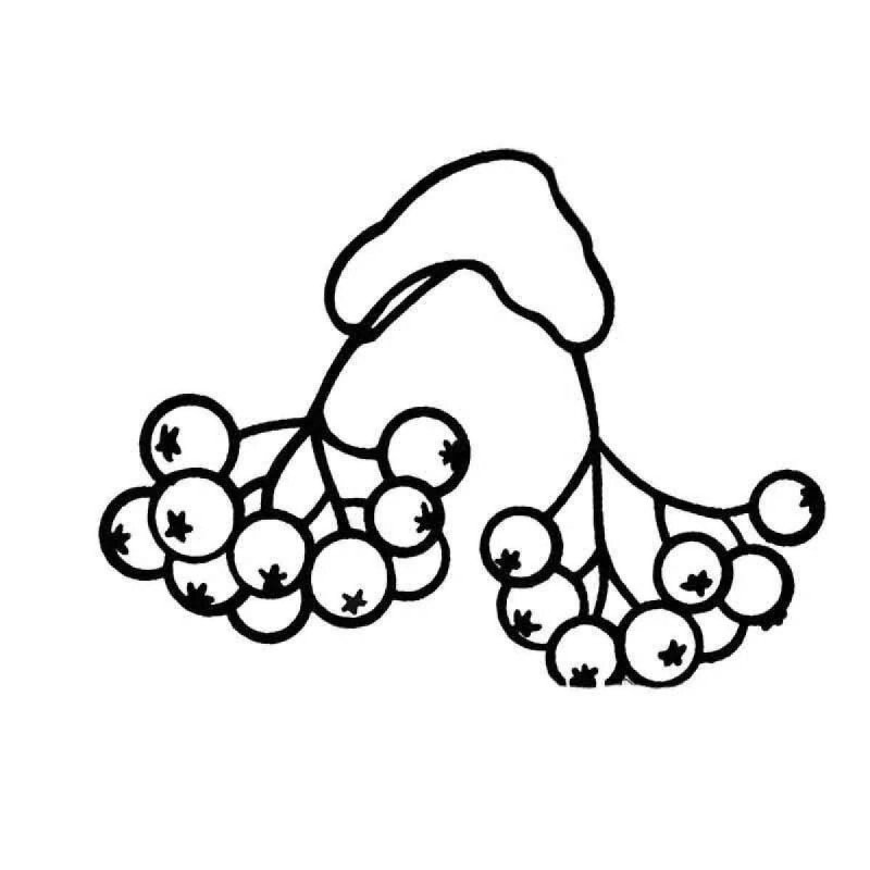 Рябина раскраска