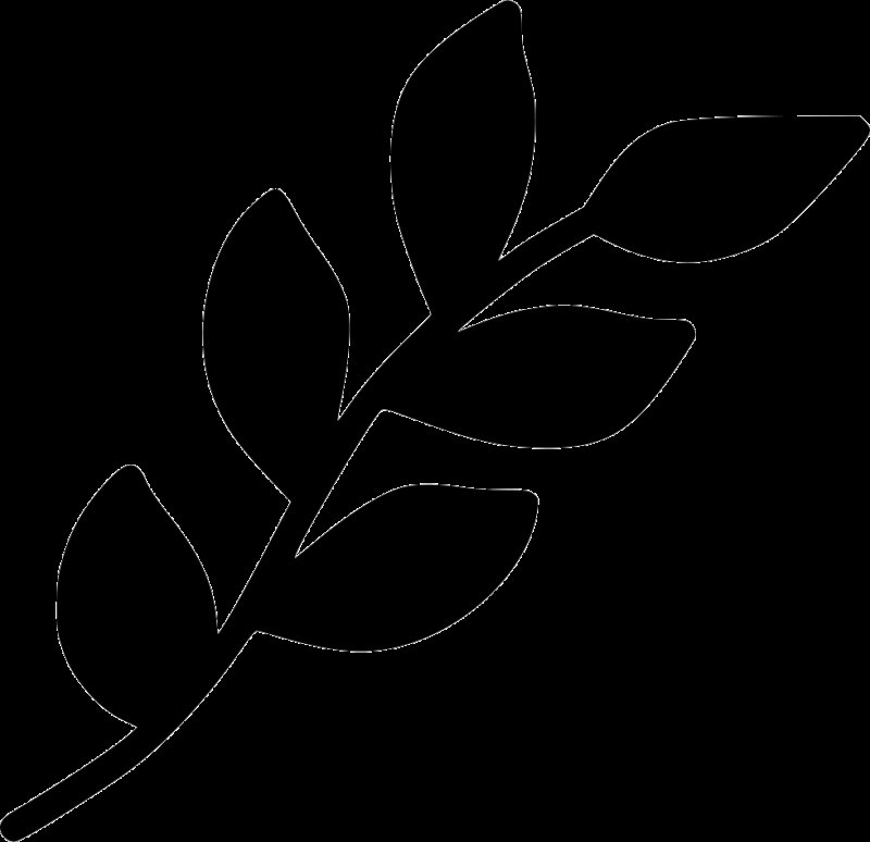 Веточка силуэт