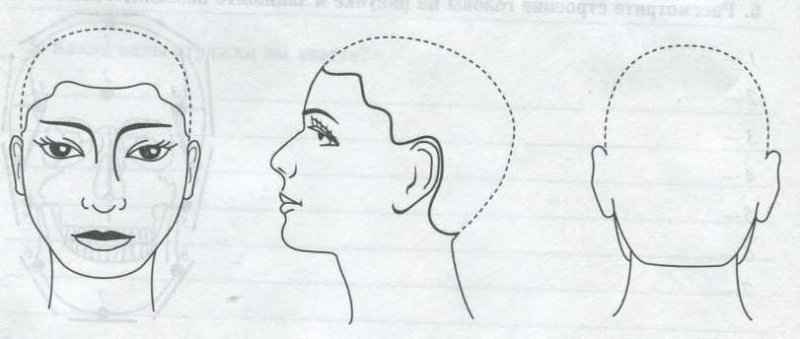 Схема головы для парикмахеров