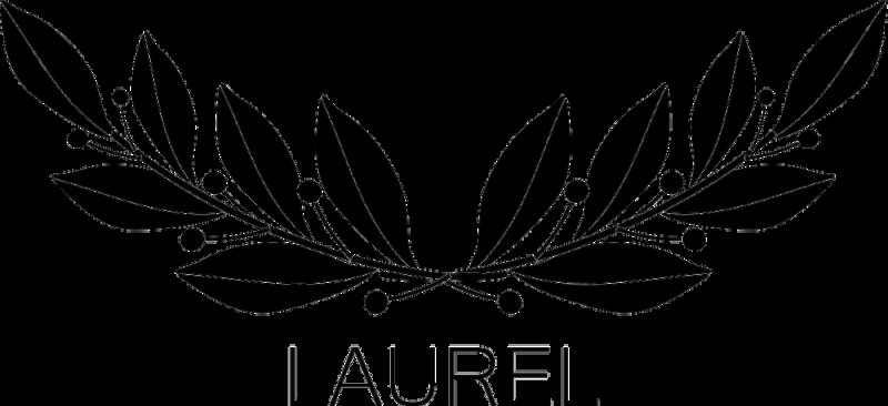 Ветка с листьями вектор