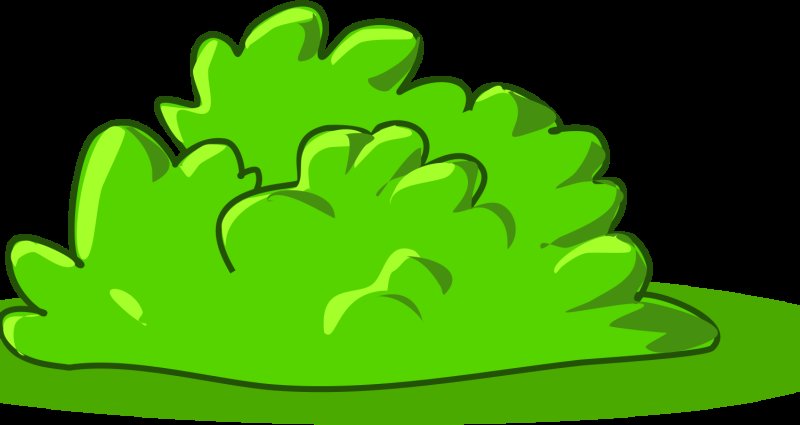 Куст рисунок