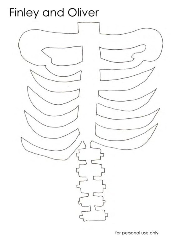 Кости скелета для Кощея Бессмертного