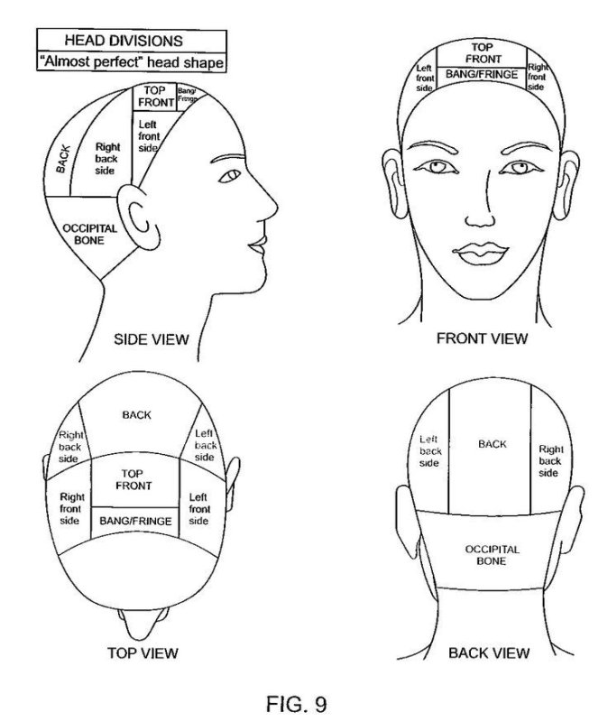 Схема головы для парикмахеров