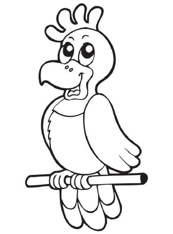 Попугай раскраска для детей