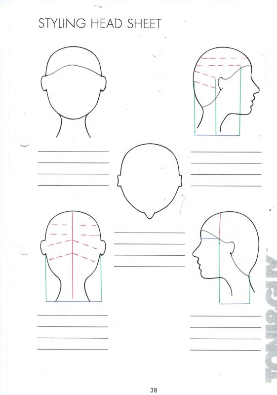 Голова для рисования схем стрижек