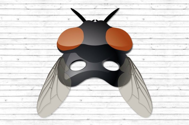 Муха Цокотуха маска мухи