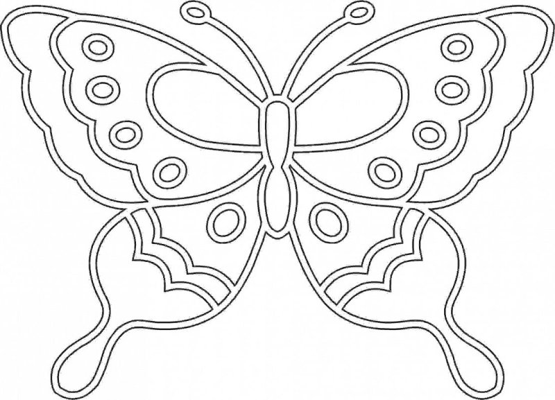 Бабочка трафарет для детей