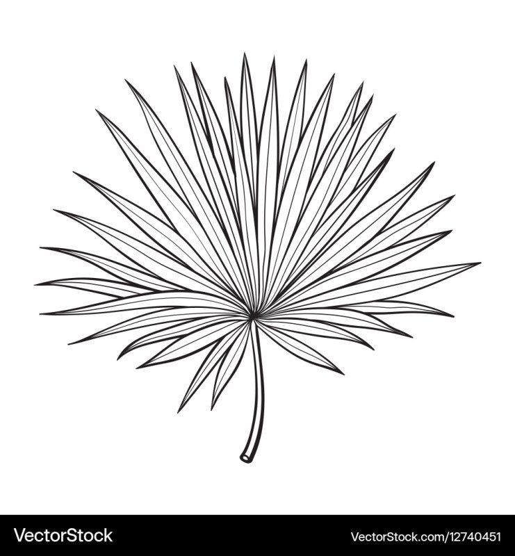 Пальмовый лист контур