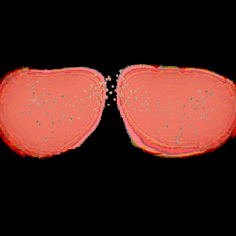 Веснушки для фотошопа без фона