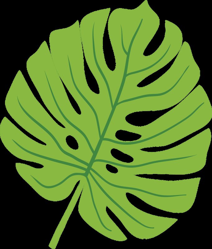 Monstera Leaf контур