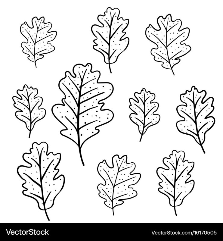 Дубовый лист трафарет