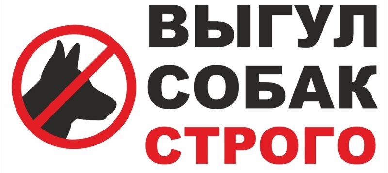 Табличка выгул собак запрещён штраф